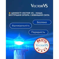 Цінності Vector VS - наша внутрішня опора і зовнішня сила