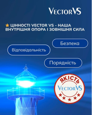 Цінності Vector VS - наша внутрішня опора і зовнішня сила