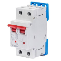 Модульний автоматичний вимикач ISKRA RI62J 2P C4A 4.5kA