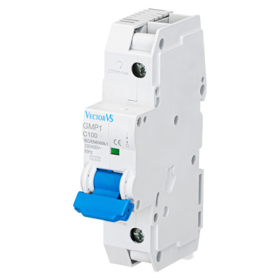 Модульний автоматичний вимикач Vector VS GENESIS 1P C 100А 10кА