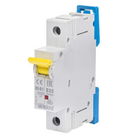 Модульний автоматичний вимикач ISKRA RI61 1P B25A 10кА