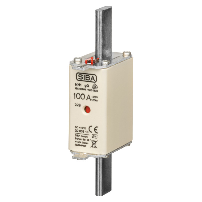 Ножовий запобіжник PRONUTEC gG NH1 100A - S20 003 13.100