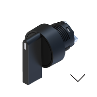 ECX 4350 Селектор з довгим важелем – ЧОРНИЙ – IP65, 2 фіксовані положення