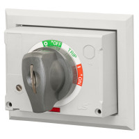 83111172802 Поворотна рукоятка DH2-L, TS250