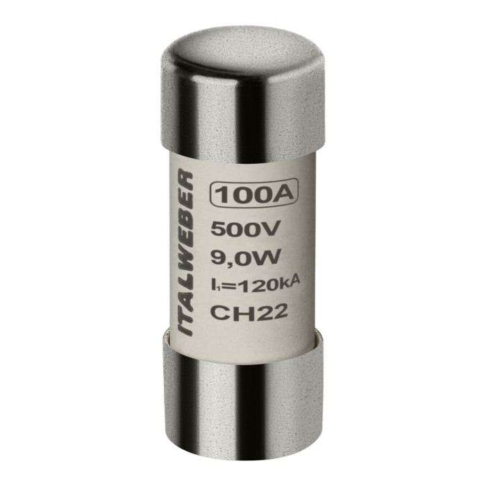 Запобіжник циліндричний Italweber CH22 100A gG 22x58 500В - 1441099