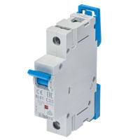 Модульний автоматичний вимикач ISKRA RI61 1P C20A 10кА