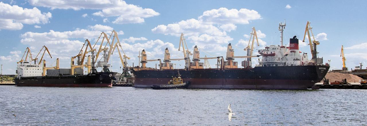 ГП «Специализированный морской торговый порт «Октябрьск»,