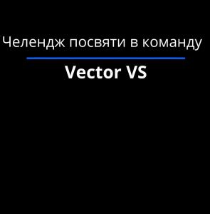 prodovzhennja-chelendzhu-posvjati-v-komandu-vector-vs_23-11-23